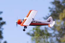 Load image into Gallery viewer, XK DHC-2 Beaver A600 with Gyro 580mm (22.8") Wingspan - RTF