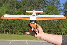 Load image into Gallery viewer, XK DHC-2 Beaver A600 with Gyro 580mm (22.8") Wingspan - RTF
